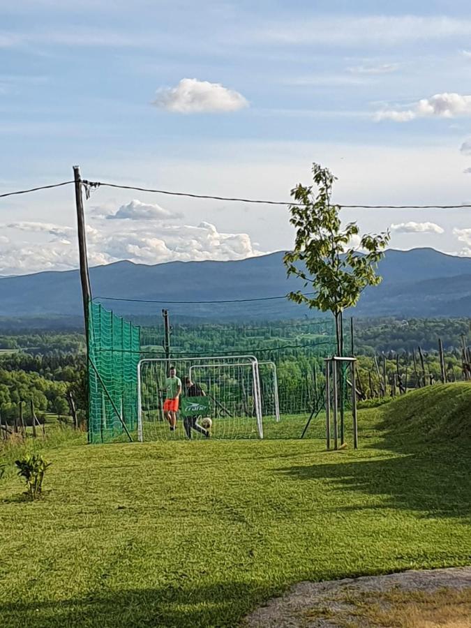 Vineyard Cottage Lan Na Hribu Semic Εξωτερικό φωτογραφία
